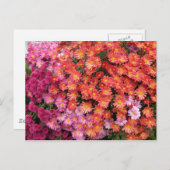 Mumsカラフルはがき ポストカード (正面/裏面)