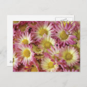 Mums ポストカード (正面/裏面)