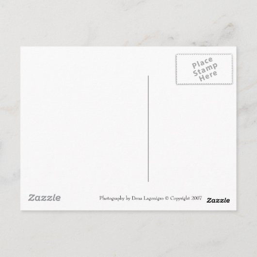 Mums ポストカード (裏面)