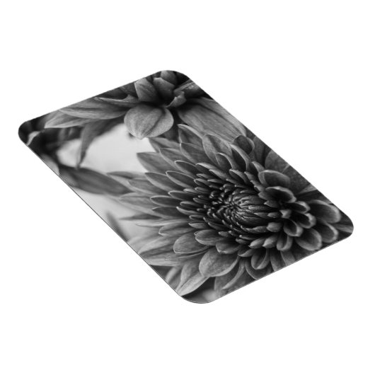 Mums マグネット (右側)