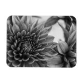 Mums マグネット (横)