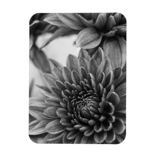 Mums マグネット (縦)