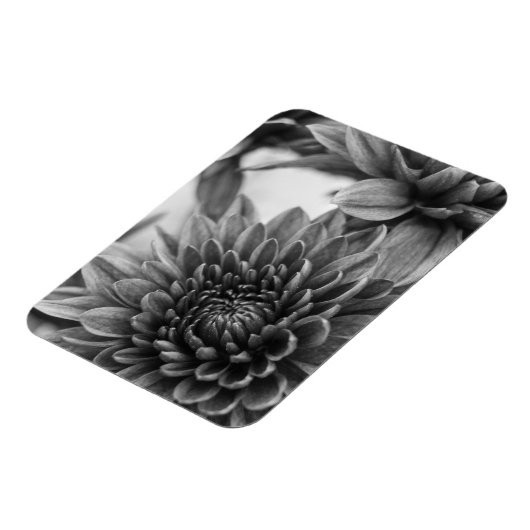 Mums マグネット (左側)