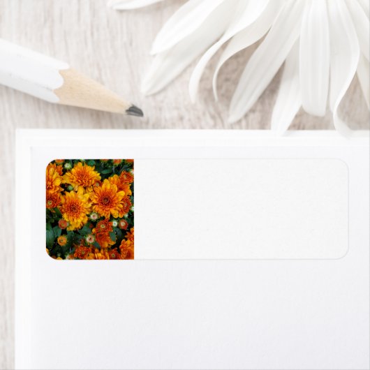 Mums ラベル (インサイチュ)