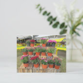 「Mums for Sale」はがき ポストカード (スタンド正面)