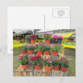 「Mums for Sale」はがき ポストカード (正面/裏面)