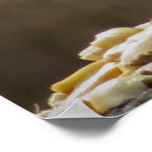 Munchies ポスター (角)