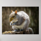 Munchies ポスター (正面)