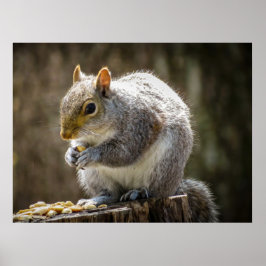 Munchies ポスター