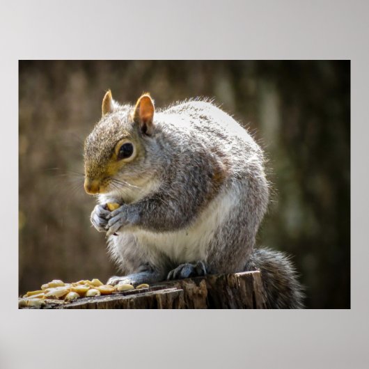 Munchies ポスター (正面)