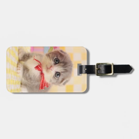 Munchkinの子ネコ ラゲッジタグ (正面横)