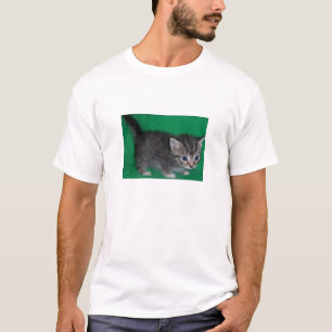 MunchkinのZoomaniaのホテル Tシャツ