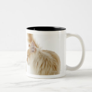 Munchkin猫 ツートーンマグカップ