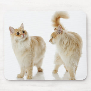Munchkin猫 マウスパッド