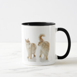 Munchkin猫 マグカップ