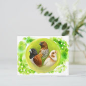 Munia Finchses realistic 絵画 ポストカード (スタンド正面)