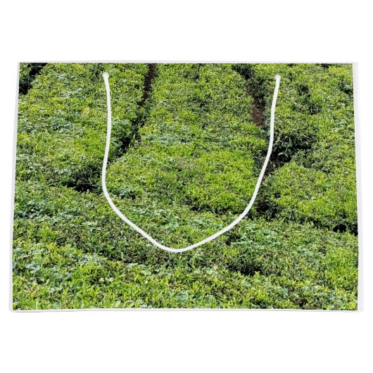 Munnarの茶園がプリントされた ラージペーパーバッグ (正面)