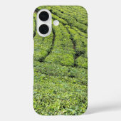 Munnarの茶園 Apple Iphone 16ケース Case-Mate iPhoneケース (裏面)