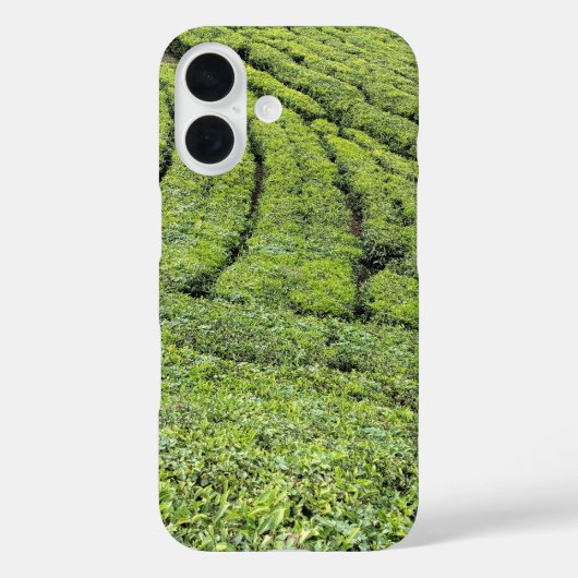 Munnarの茶園 Apple Iphone 16ケース Case-Mate iPhoneケース (裏面)