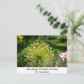 Munsingerの庭のトンボ ポストカード (スタンド正面)