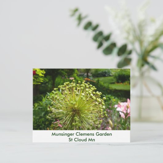 Munsingerの庭のトンボ ポストカード (スタンド正面)