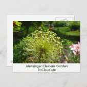 Munsingerの庭のトンボ ポストカード (正面/裏面)