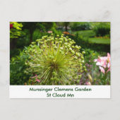 Munsingerの庭のトンボ ポストカード (正面)