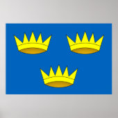 Munster, Ireland flag ポスター (正面)
