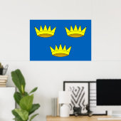 Munster, Ireland flag ポスター (ホームオフィス)