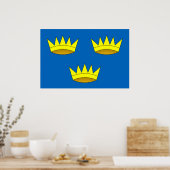 Munster, Ireland flag ポスター (キッチン)
