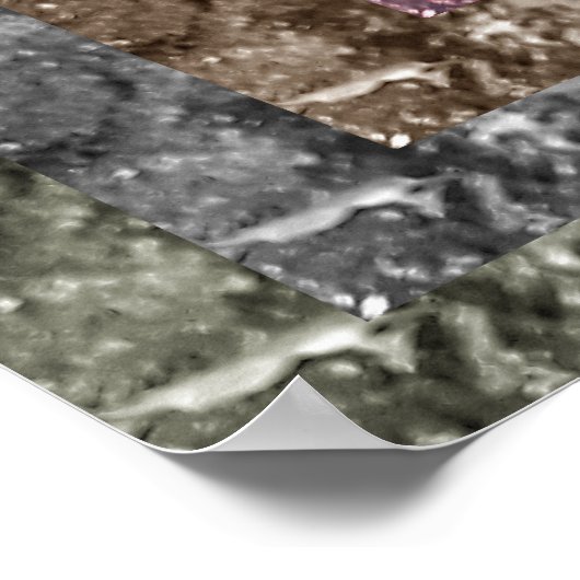 murais ポスター (角)