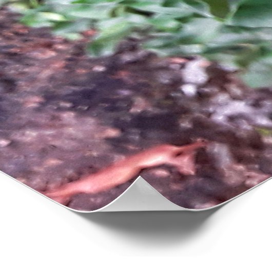 mural ポスター (角)