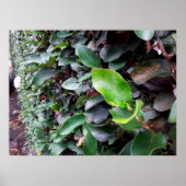 mural ポスター (正面)