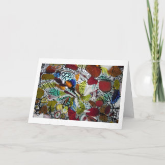 Muranoの融合の詳細の勉強 カード