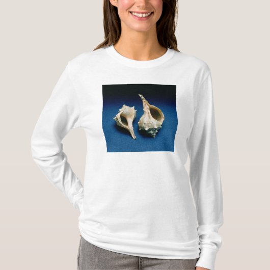 Murexの貝 Tシャツ (正面)