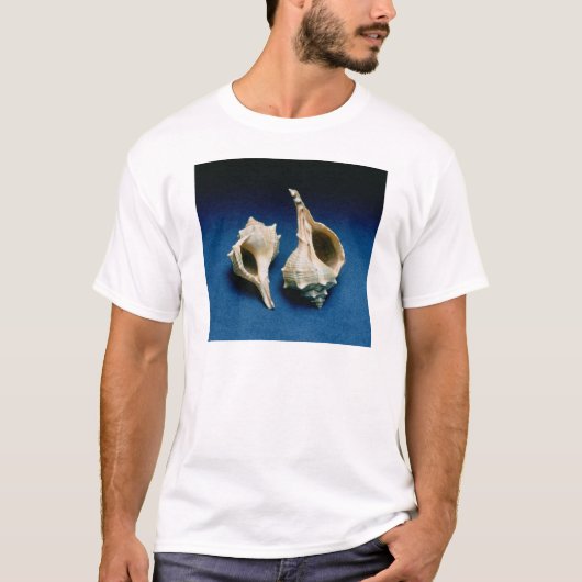 Murexの貝 Tシャツ (正面)