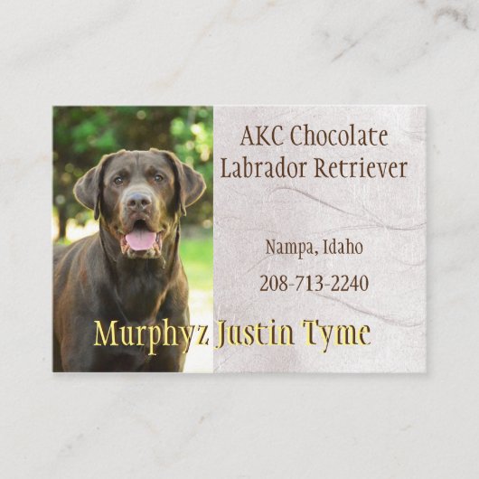 Murphys名刺 名刺 (正面)