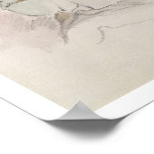 Musa - Kashgarより， c.1855 ポスター (角)