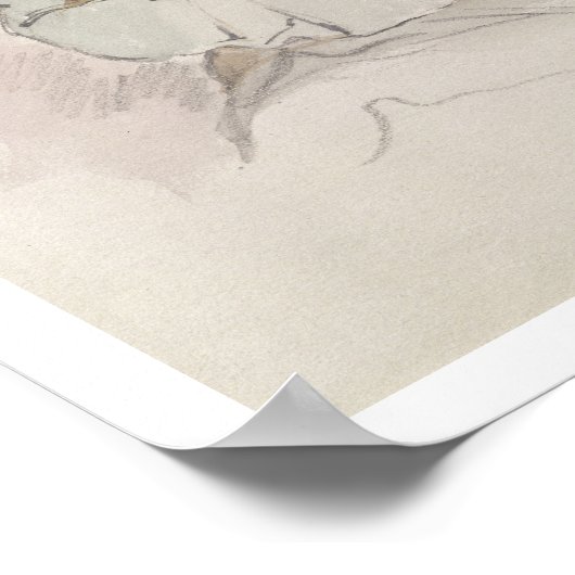 Musa - Kashgarより， c.1855 ポスター (角)