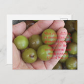 Muscadine's from Home Garden – はがき (正面/裏面)