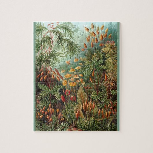 Muscinae -エルンスト・ヘッケル8x10 ジグソーパズル (縦)