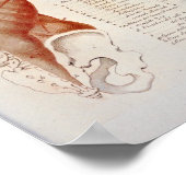 Muscle Anatomy Back Neck Print French ポスター (角)