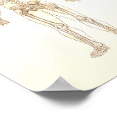 Muscle Anatomy Poster - Anterior and Posterior ポスター (角)