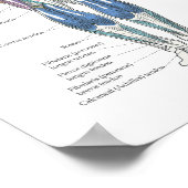 Muscle Anatomy Posterior Anterior ポスター (角)