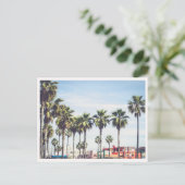 Muscle Beach Venice Beach California Palm Tree ポストカード (スタンド正面)