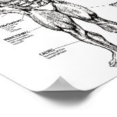 Muscle Chart And Exercise Guide - Bodybuilding Mot ポスター (角)