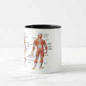 Muscle Diagram medgifts101 マグカップ (中央)