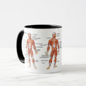 Muscle Diagram medgifts101 マグカップ (正面左)