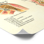 Muscles Anatomy Músculos Anatomia Spanish Chart ポスター (角)