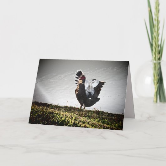 Muscovyすごい Duckグリーティングカード カード (正面)